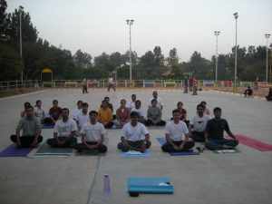 Dhrti Yoga, Global Surya Namskar Day 2010, Ratha Saptami